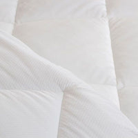 Ковдра «WHITE TEDDY», мікрофібра